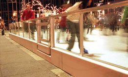 Rinksystems Image