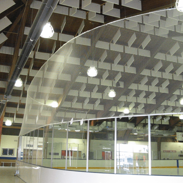 Rinksystems Image